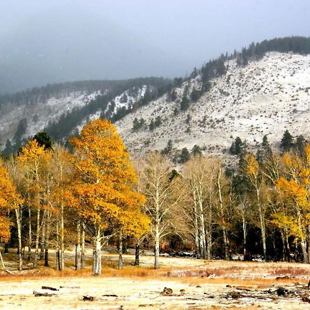New Listing 2Br 2Ba Condo - Mountain Views Aspen Exterior photo