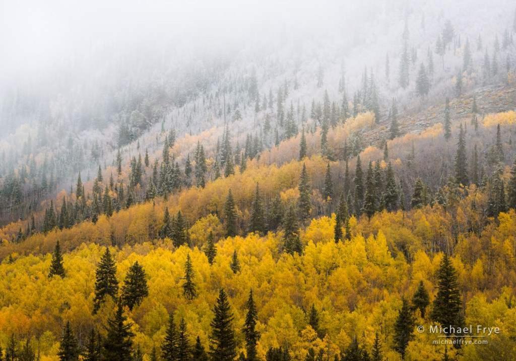 New Listing 2Br 2Ba Condo - Mountain Views Aspen Exterior photo