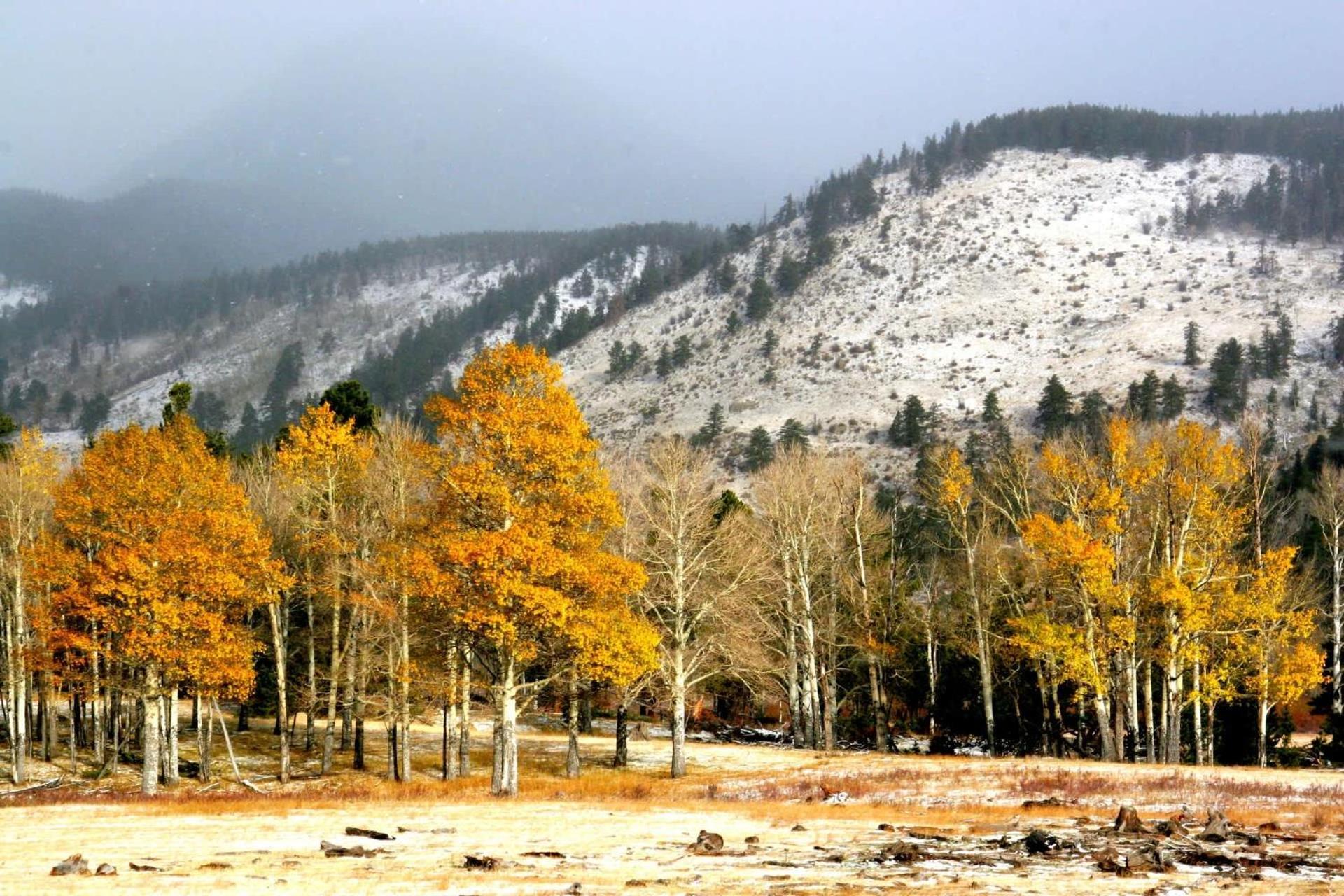 New Listing 2Br 2Ba Condo - Mountain Views Aspen Exterior photo