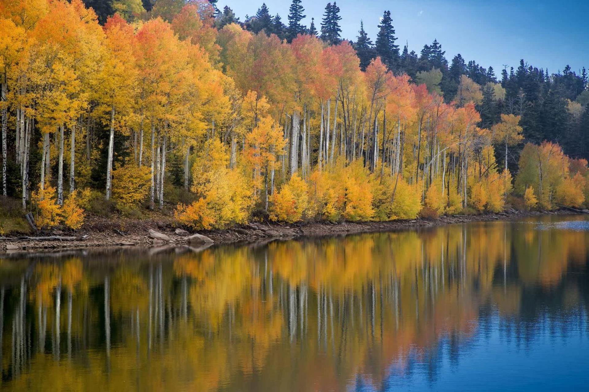 New Listing 2Br 2Ba Condo - Mountain Views Aspen Exterior photo